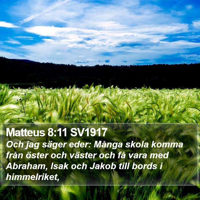 Matteus 8:11 SV1917 Bible Study