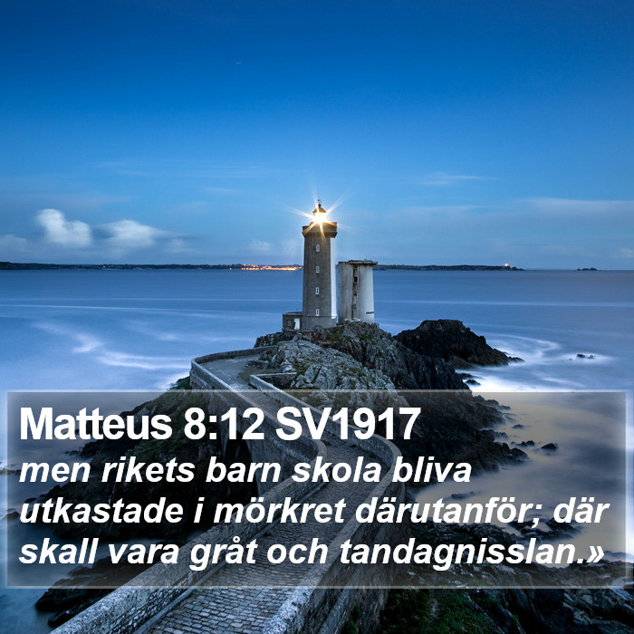 Matteus 8:12 SV1917 Bible Study