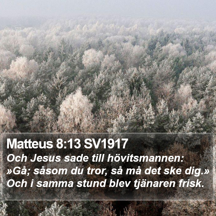 Matteus 8:13 SV1917 Bible Study