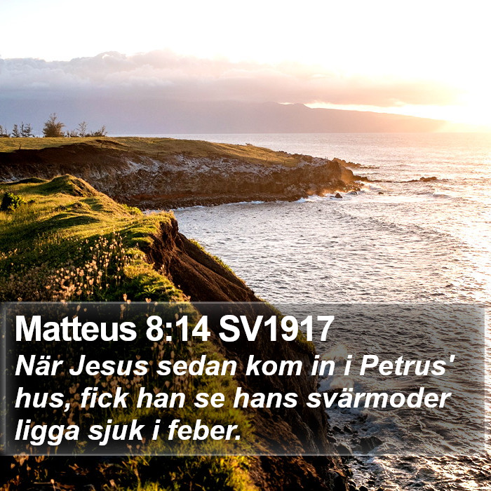 Matteus 8:14 SV1917 Bible Study