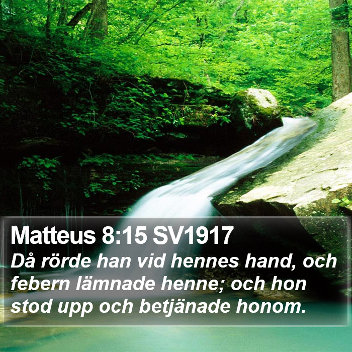 Matteus 8:15 SV1917 Bible Study