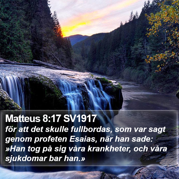 Matteus 8:17 SV1917 Bible Study