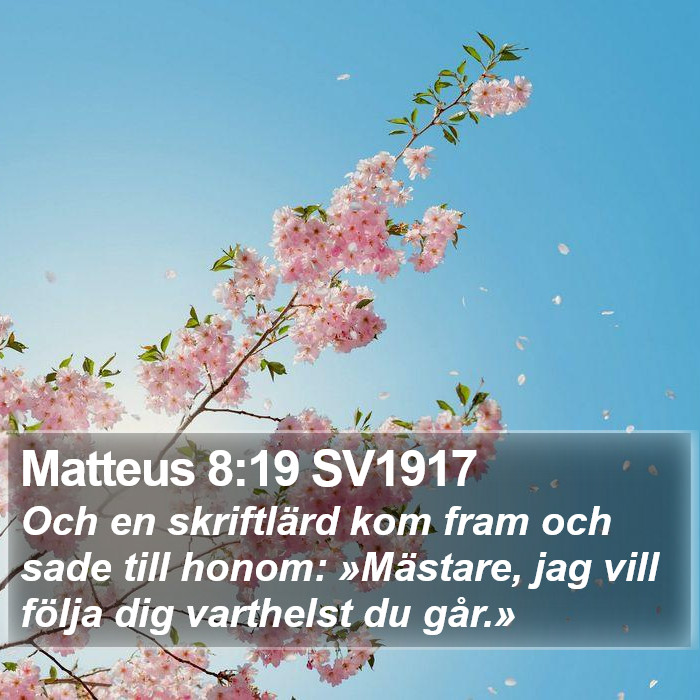 Matteus 8:19 SV1917 Bible Study