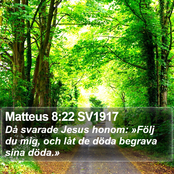 Matteus 8:22 SV1917 Bible Study