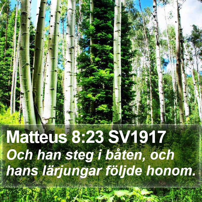 Matteus 8:23 SV1917 Bible Study