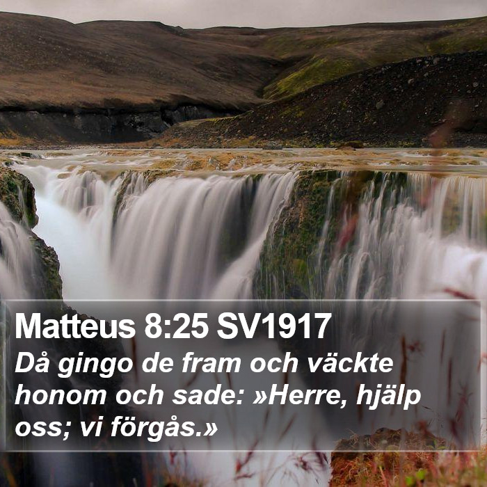 Matteus 8:25 SV1917 Bible Study