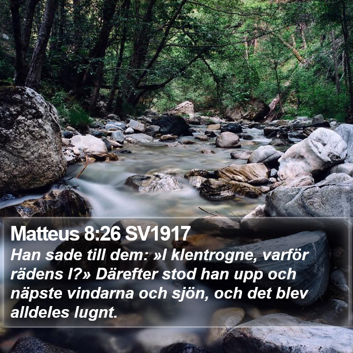 Matteus 8:26 SV1917 Bible Study