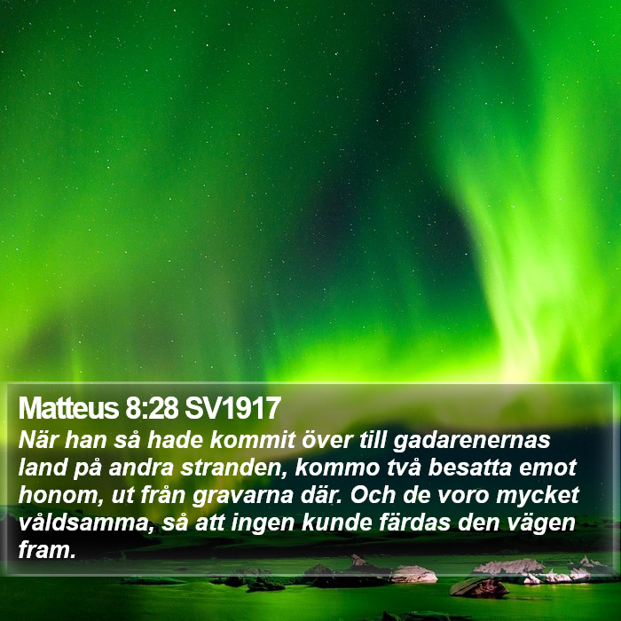 Matteus 8:28 SV1917 Bible Study