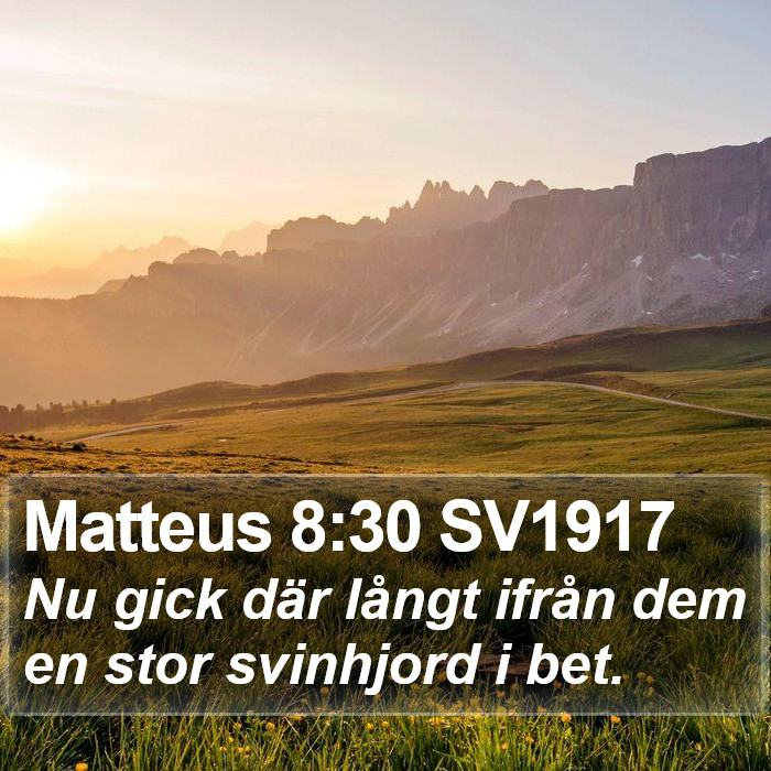 Matteus 8:30 SV1917 Bible Study