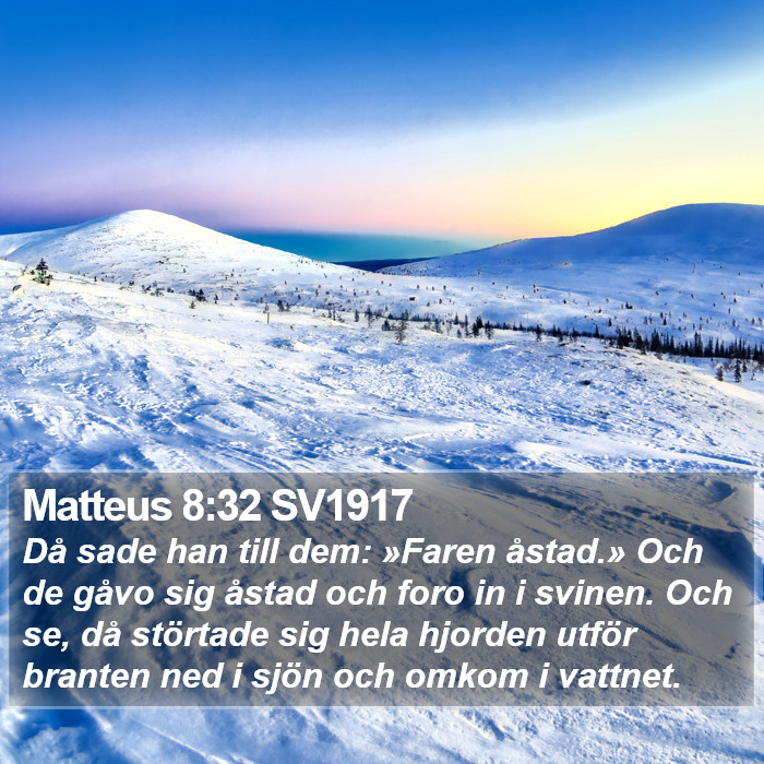 Matteus 8:32 SV1917 Bible Study