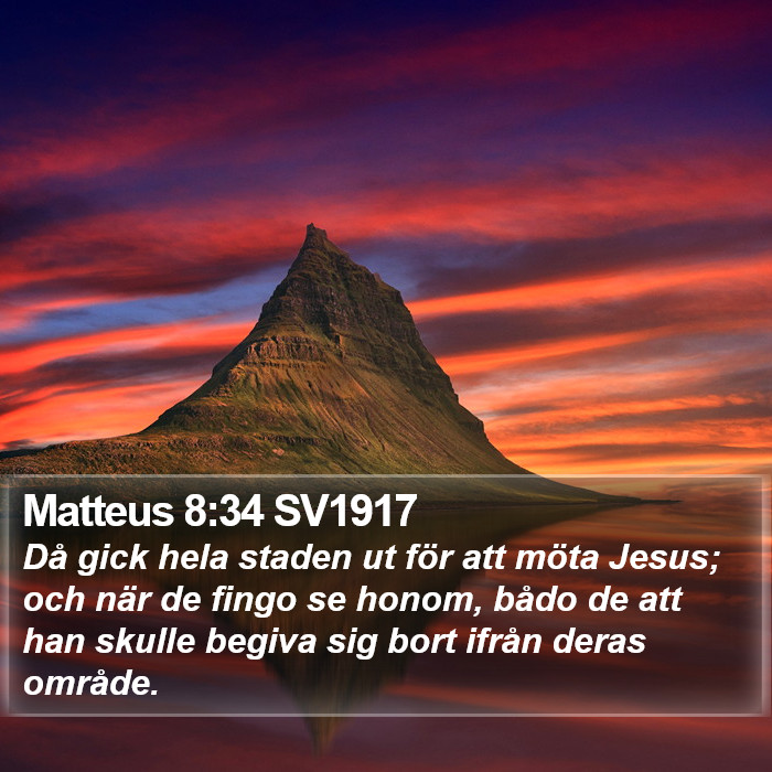 Matteus 8:34 SV1917 Bible Study