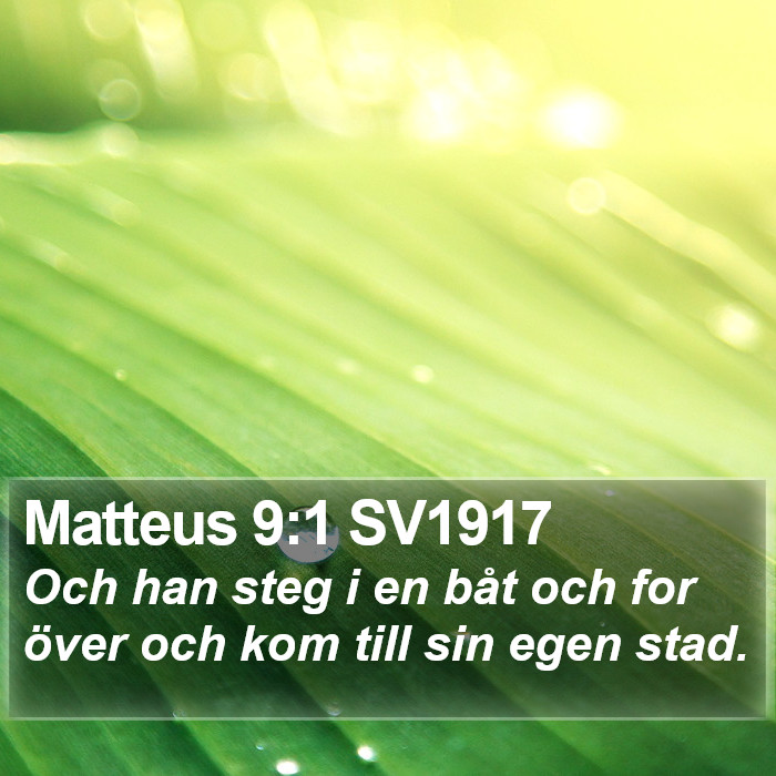 Matteus 9:1 SV1917 Bible Study