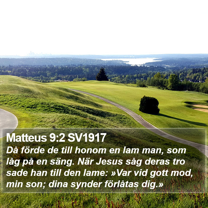 Matteus 9:2 SV1917 Bible Study