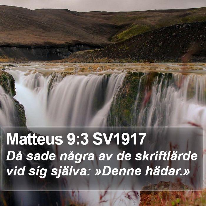 Matteus 9:3 SV1917 Bible Study