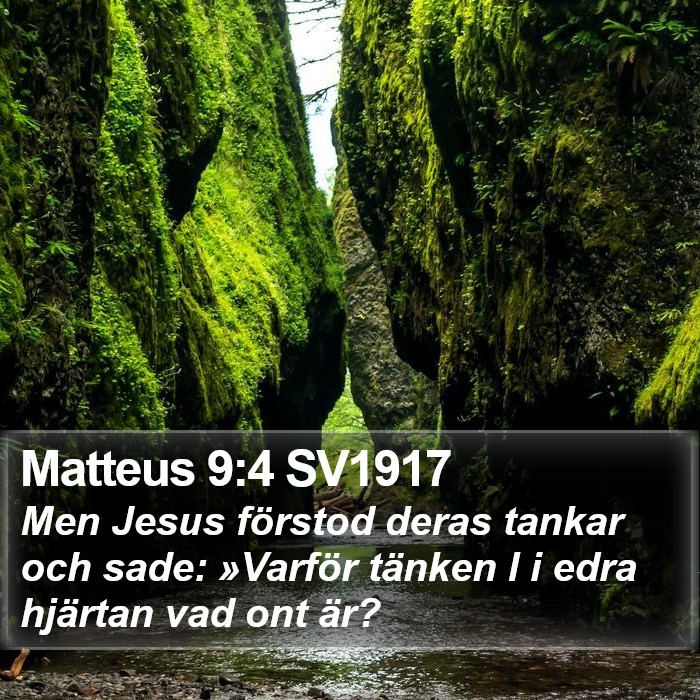 Matteus 9:4 SV1917 Bible Study