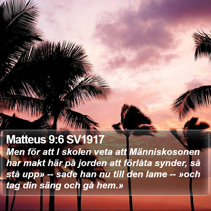 Matteus 9:6 SV1917 Bible Study