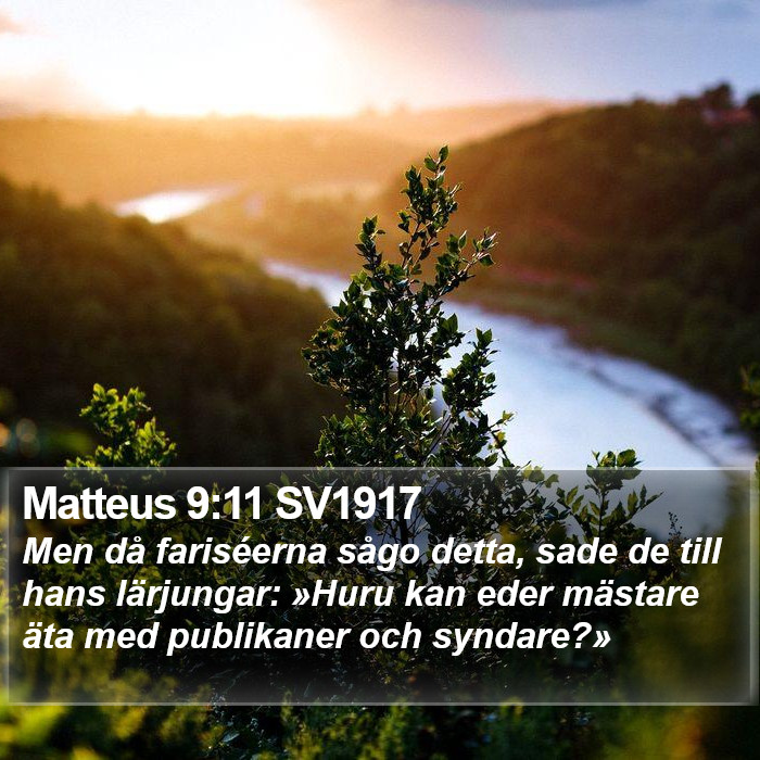 Matteus 9:11 SV1917 Bible Study