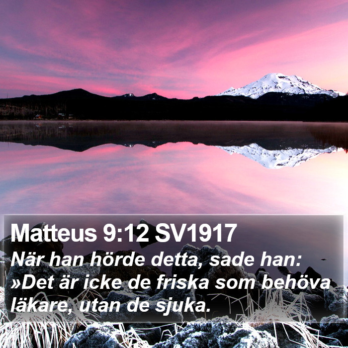 Matteus 9:12 SV1917 Bible Study
