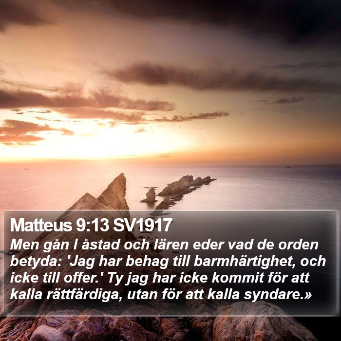 Matteus 9:13 SV1917 Bible Study