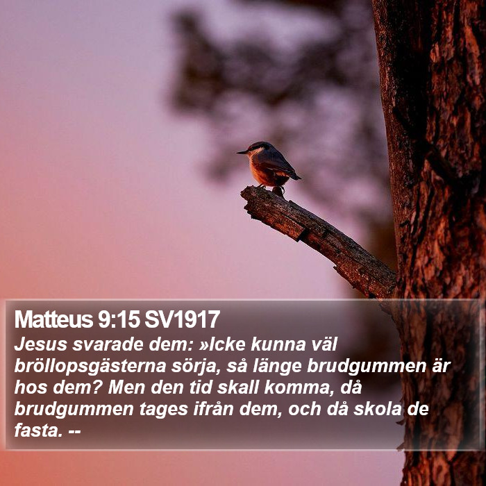 Matteus 9:15 SV1917 Bible Study
