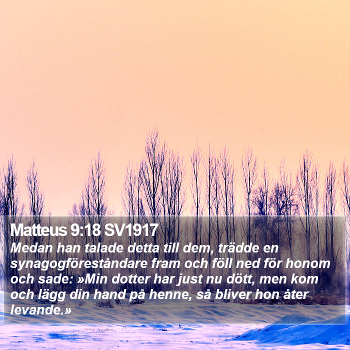Matteus 9:18 SV1917 Bible Study