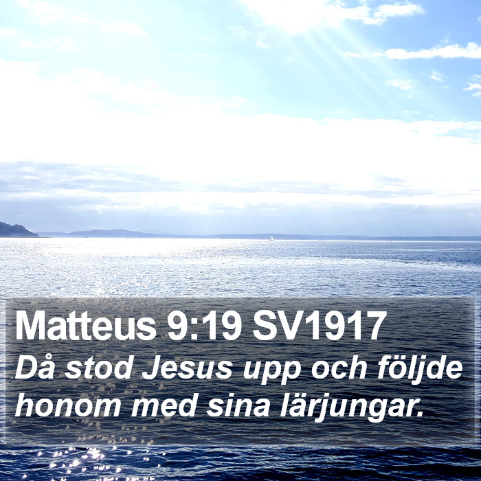 Matteus 9:19 SV1917 Bible Study