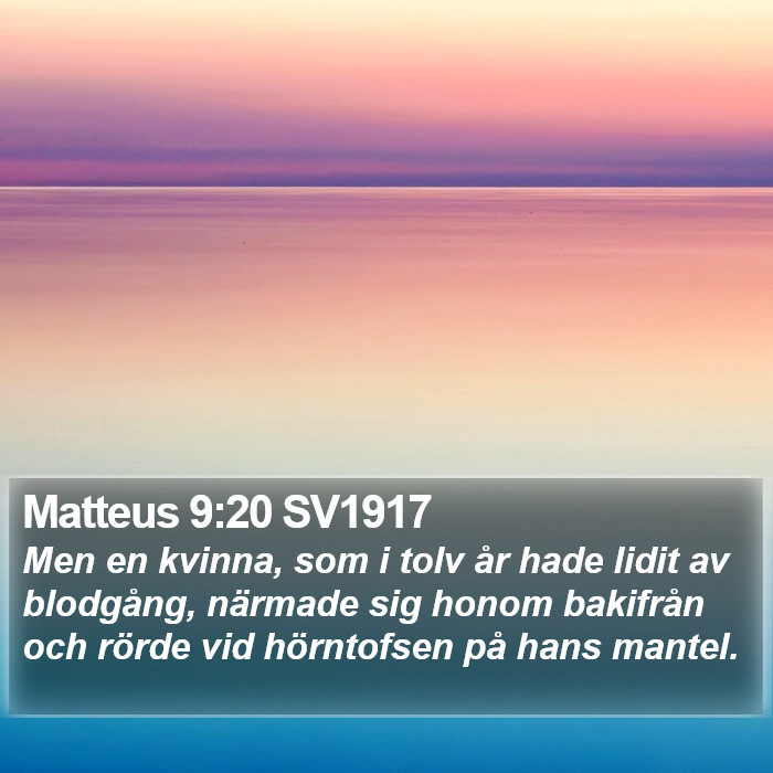 Matteus 9:20 SV1917 Bible Study