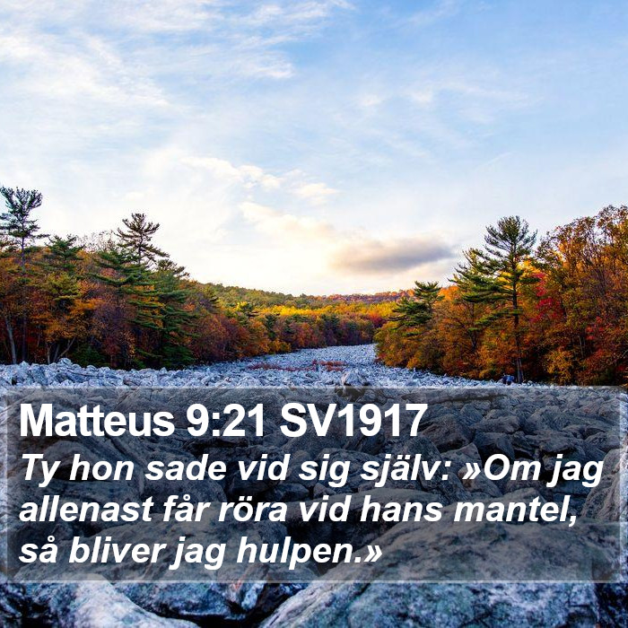 Matteus 9:21 SV1917 Bible Study