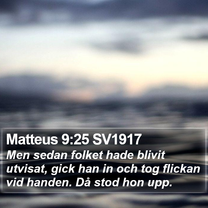 Matteus 9:25 SV1917 Bible Study