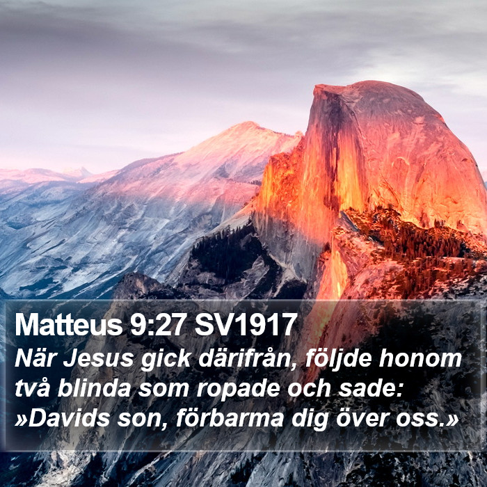 Matteus 9:27 SV1917 Bible Study