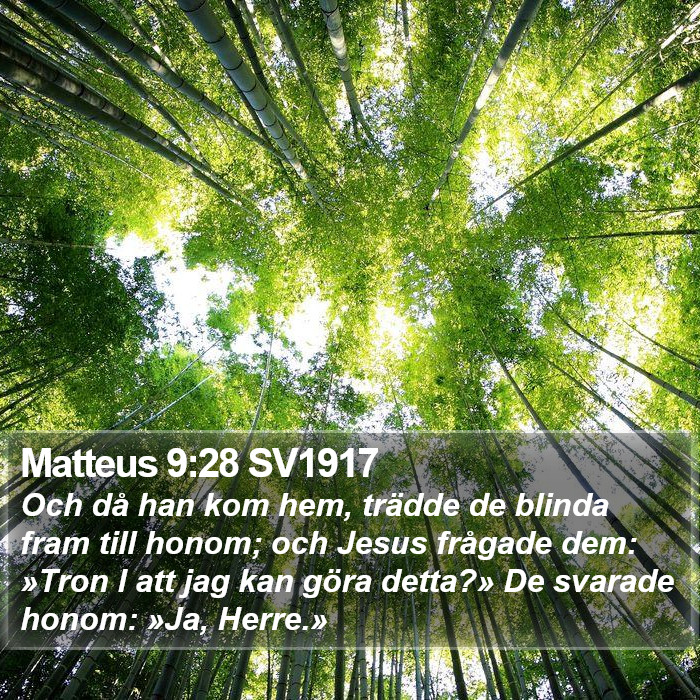 Matteus 9:28 SV1917 Bible Study