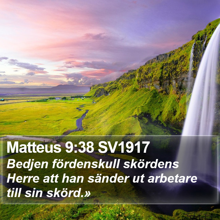 Matteus 9:38 SV1917 Bible Study