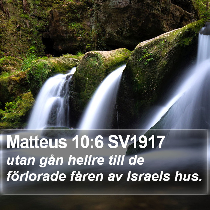 Matteus 10:6 SV1917 Bible Study