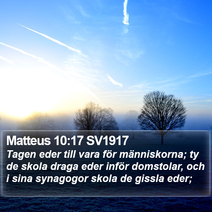 Matteus 10:17 SV1917 Bible Study