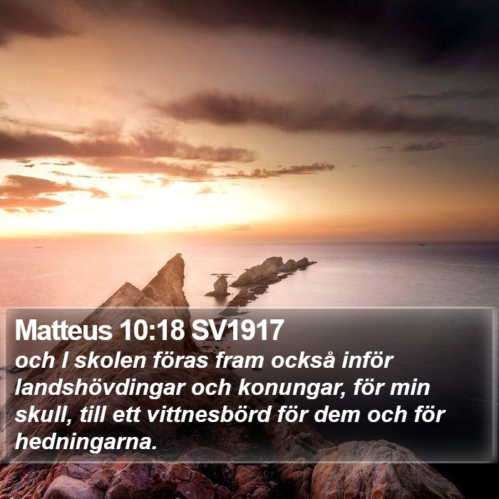 Matteus 10:18 SV1917 Bible Study