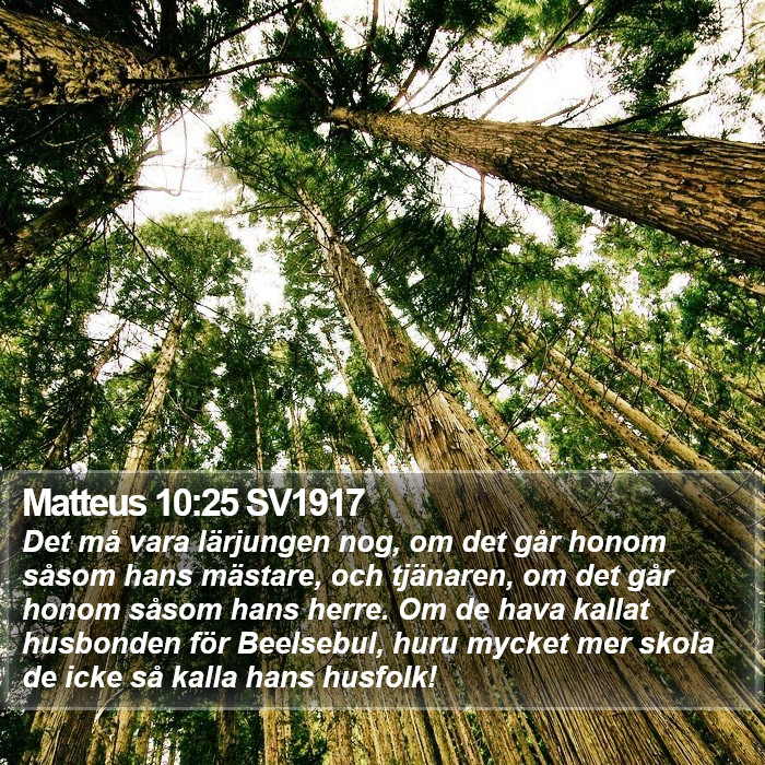 Matteus 10:25 SV1917 Bible Study