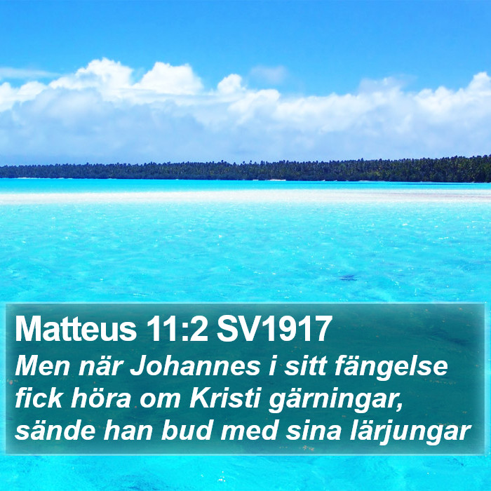 Matteus 11:2 SV1917 Bible Study