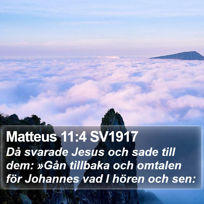 Matteus 11:4 SV1917 Bible Study