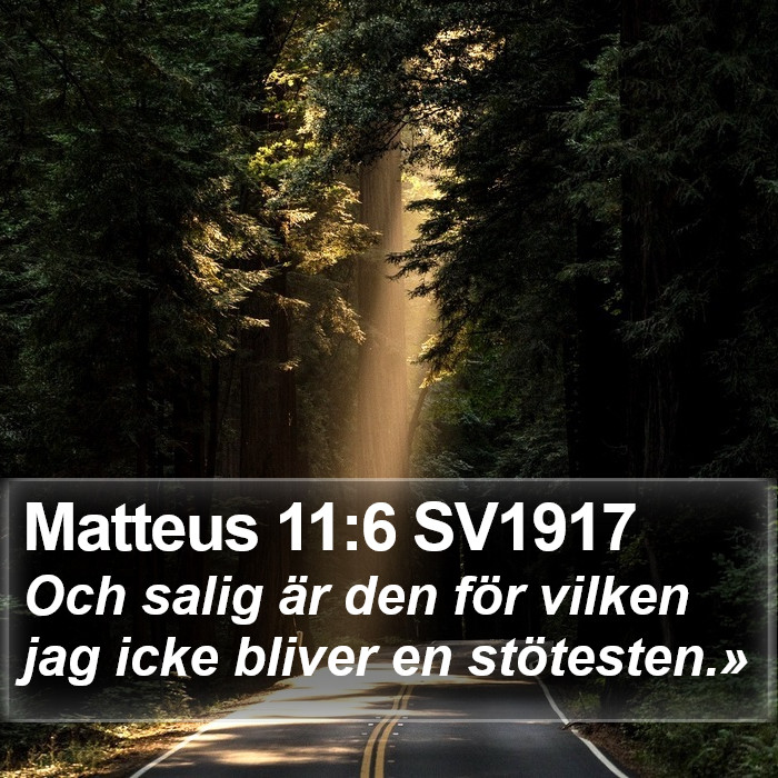 Matteus 11:6 SV1917 Bible Study