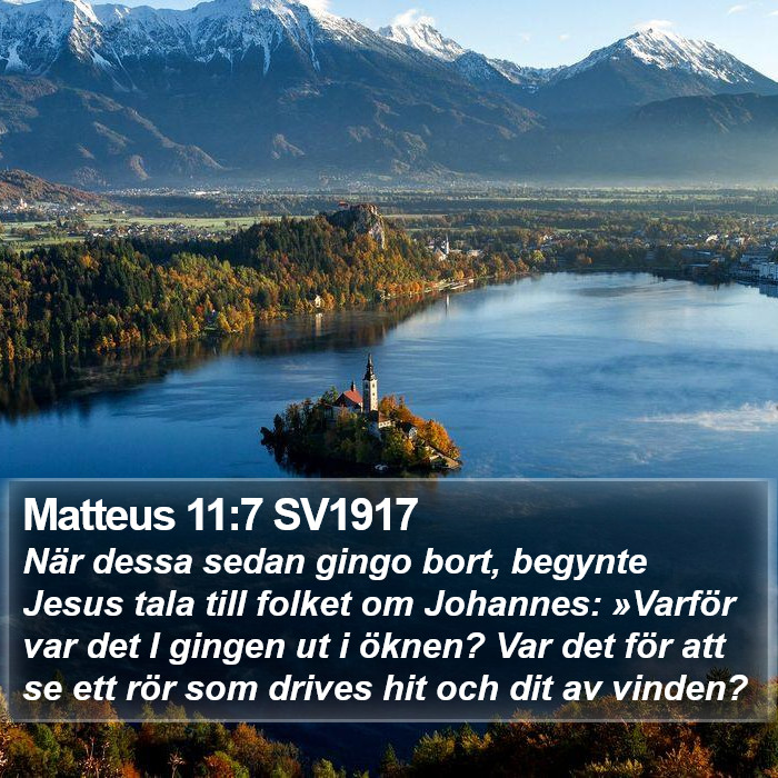 Matteus 11:7 SV1917 Bible Study