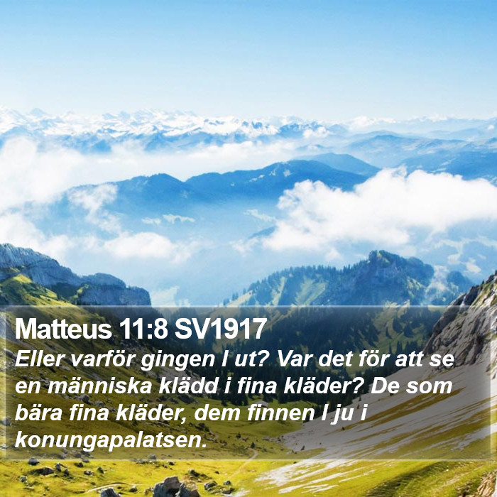 Matteus 11:8 SV1917 Bible Study