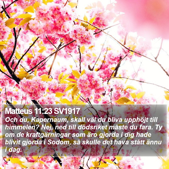 Matteus 11:23 SV1917 Bible Study