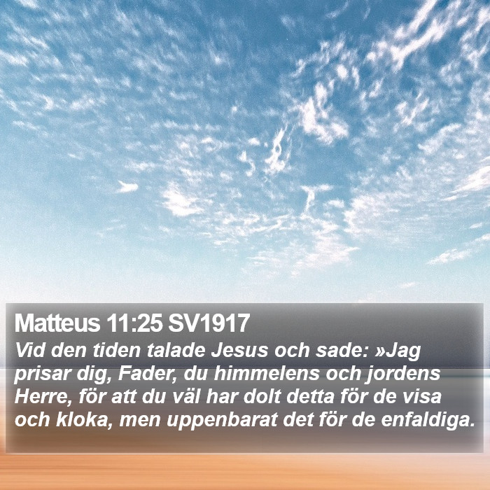Matteus 11:25 SV1917 Bible Study