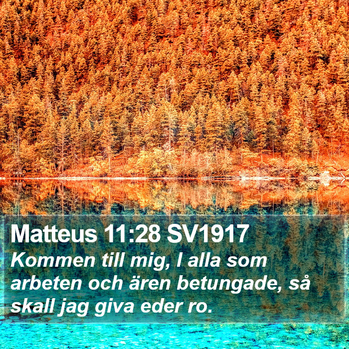 Matteus 11:28 SV1917 Bible Study