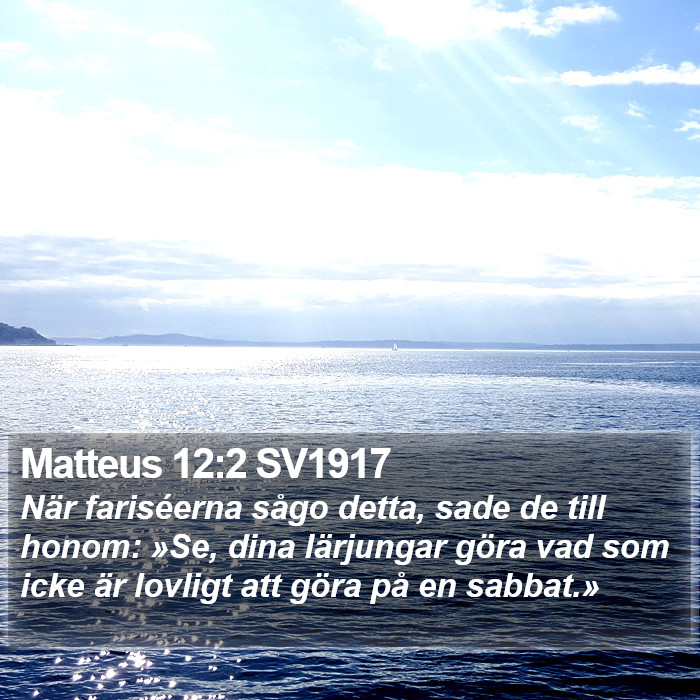 Matteus 12:2 SV1917 Bible Study