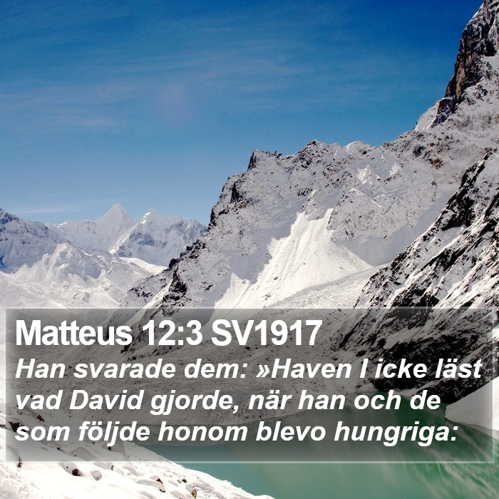 Matteus 12:3 SV1917 Bible Study