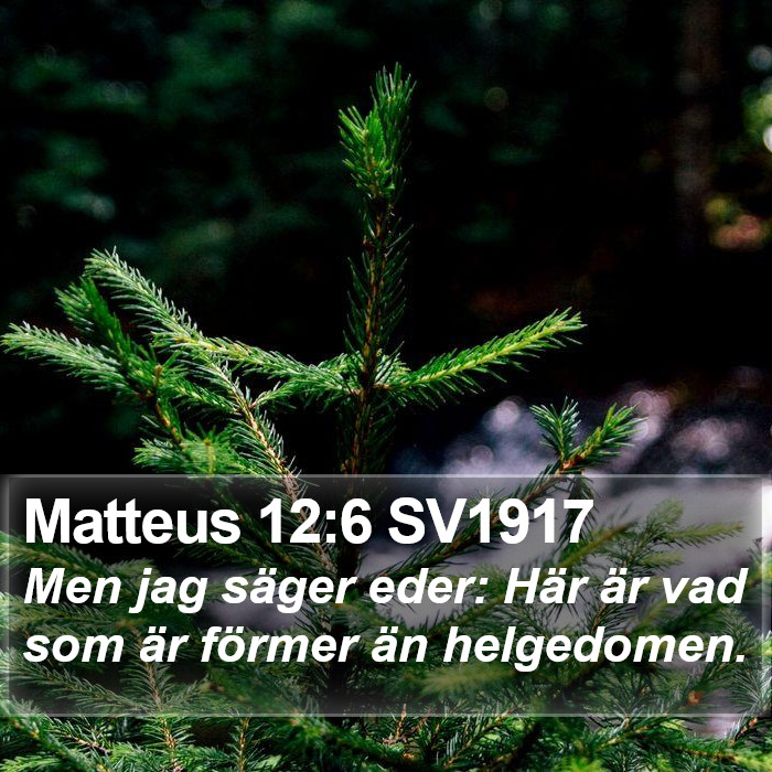 Matteus 12:6 SV1917 Bible Study