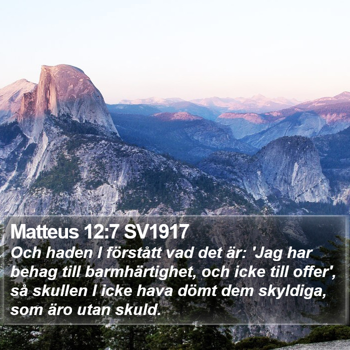 Matteus 12:7 SV1917 Bible Study