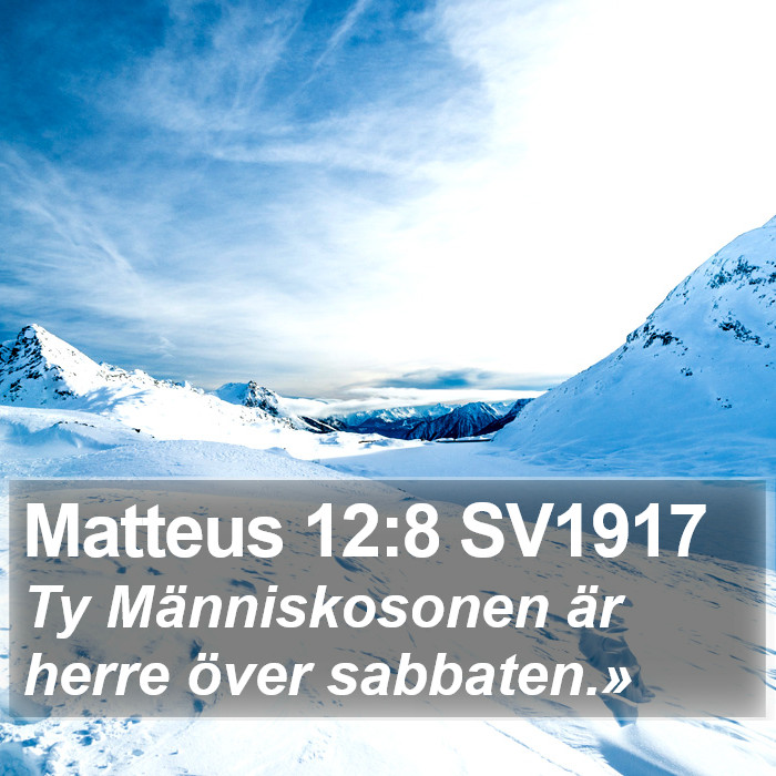 Matteus 12:8 SV1917 Bible Study