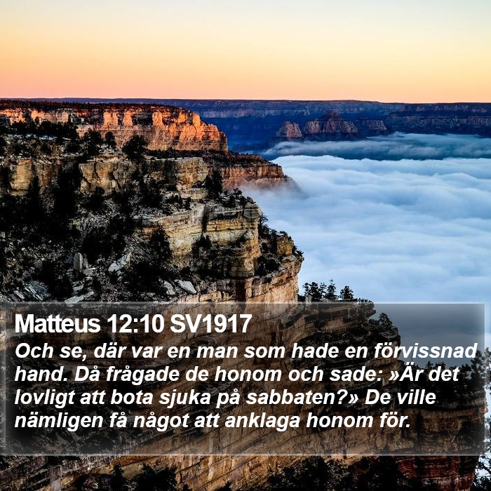 Matteus 12:10 SV1917 Bible Study